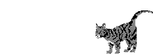 Gato0004.gif