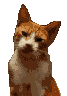 Gato0005.gif