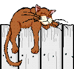 Gato0009.gif